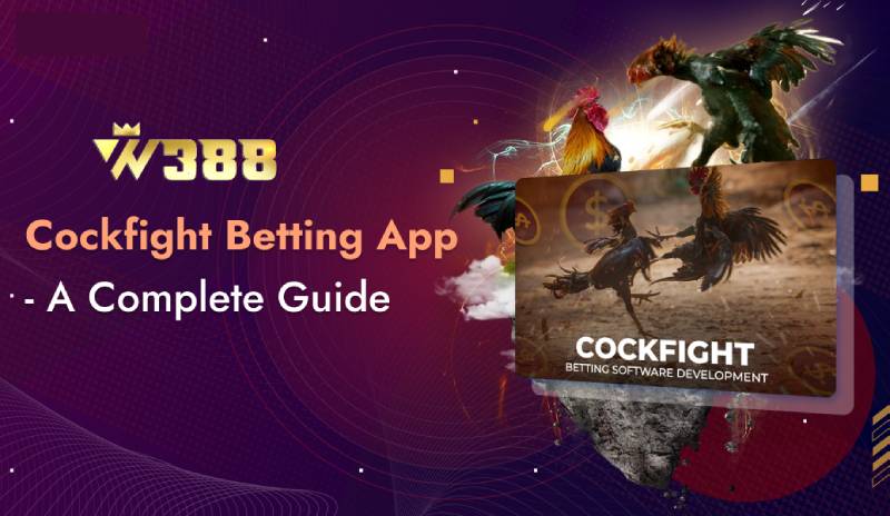 Cách Nhận Biết Nhà Cái Đá Gà Online Uy Tín Để Tham Gia 1 Cach Nhan Biet Nha Cai Da Ga Online Uy Tin De Tham Gia