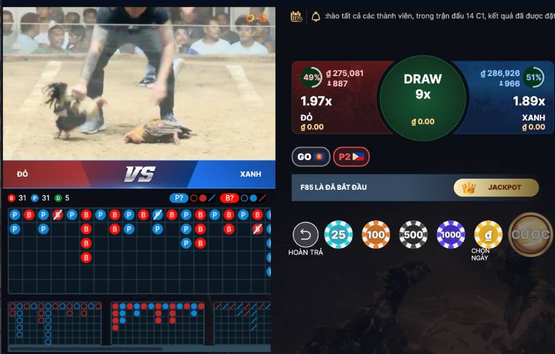 Mẹo Đọc Odds Đá Gà Từ Nhà Cái Để Chơi Hiệu Quả Hơn 5 Giu cai dau lanh khi nhin vao odds